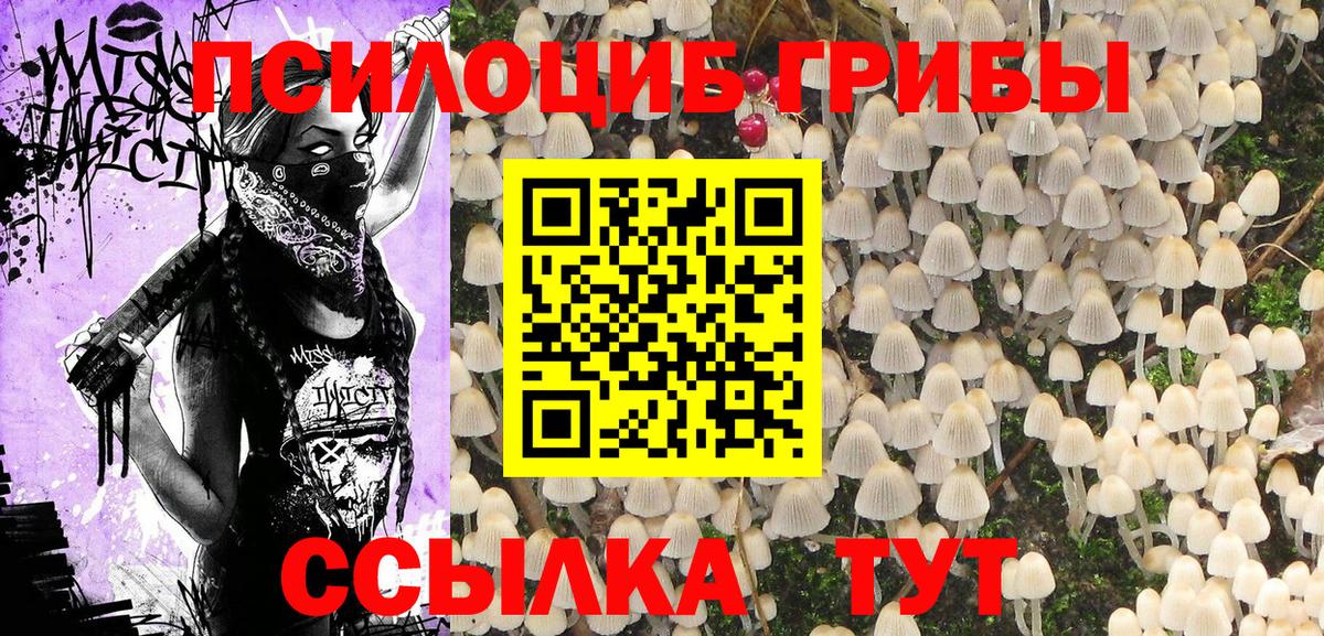 Псилоцибиновые грибы GOLDEN TEACHER Нефтеюганск